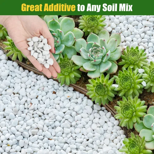 Vista 4 de Doter Perlita gruesa orgánica para plantas (0.4 a 0.8 pulgadas de diámetro), mezcla de acondicionador de aditivo natural para suelos
