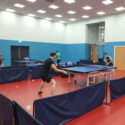 Vista 7 de MAPOL 100 pelotas de tenis de mesa avanzadas de práctica naranja de 3 estrellas