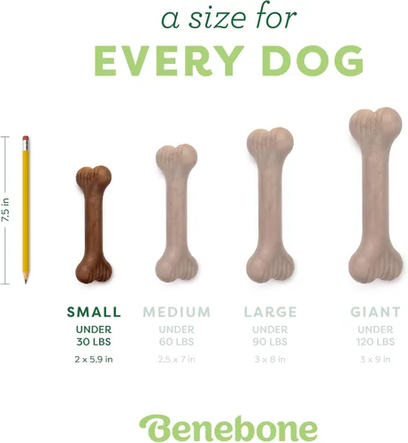 Vista 4 de Benebone Bone - Juguete masticable duradero para perros para masticadores agresivos, tocino real, fabricado en Estados Unidos, pequeño