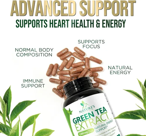 Vista 6 de Extracto de té verde 98% EGCG estandarizado – 3 veces de fuerza para energía natural – Auxiliar cardíaco con polifenoles – cafeína suave, fabricado