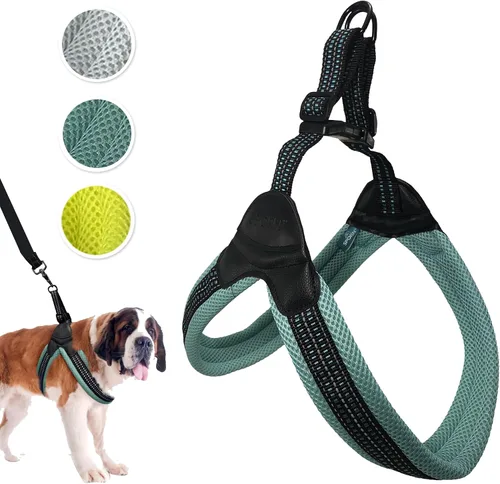 Vista 17 de Sporn Arnés de malla de fácil ajuste para perro de tamaño pequeño, color turquesa, tela suave, de nailon, sin estrangulamiento, arnés para perro
