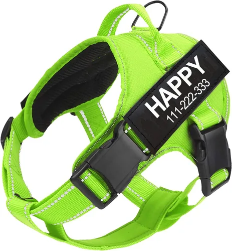 Vista 5 de Arnés para perro con nombre personalizado con parche personalizado, chaleco para mascotas sin tirones, fácil control para entrenamiento de caminatas