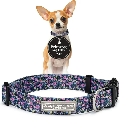 Vista 77 de Lucky Love Dog - Collar para perras pequeñas, diseño Blackbird de estampado alegre con flores de primavera y verano, talla XS Collar Blackbird