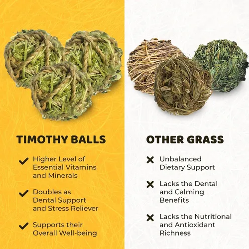 Vista 6 de SunGrow Timothy - Bolas para conejos, juguetes masticables para cuidado bucal y digestión, golosinas de heno de alta fibra para conejitos