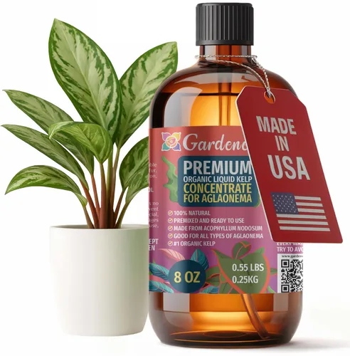 Vista 60 de GARDENERA Superalimento orgánico prémium de algas marinas y algas marinas para plantas AROID - 32 oz - Concentrado de fertilizante líquido de algas