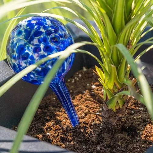 Vista 2 de Evelots Globos de riego de plantas (paquete de 3) - Vidrio soplado a mano - Sistema automático de riego de agua - Interior/exterior - Deja tu hogar