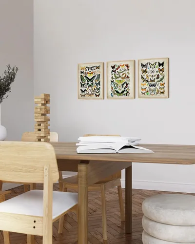 Vista 5 de HAUS AND HUES Juego de 3 pósteres vintage de mariposa, arte de pared, impresiones botánicas para estética de habitación, imágenes