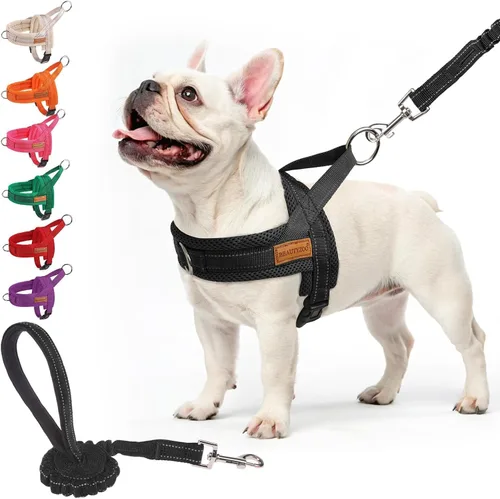 Vista 34 de BEAUTYZOO Arnés para Perros Pequeños, Juego de Arnés y Correa sin Tirones, Arnés de Pecho para Cachorros a Prueba de Escapes con Mango, Arnés Beige