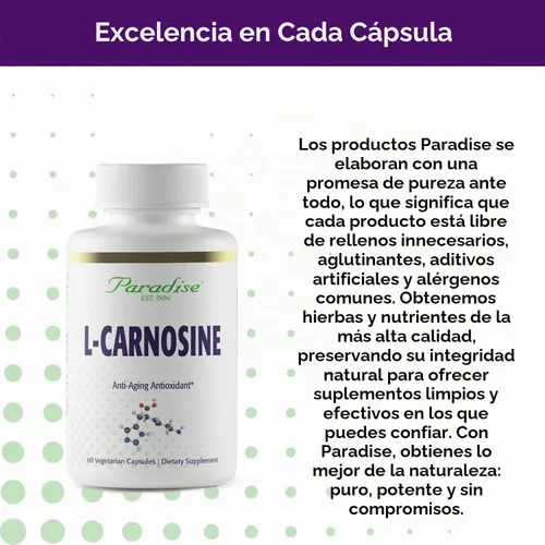Vista 6 de Paradise Herbs L-Carnosina Vegana Sin OMG Sin Gluten 60 Cápsulas