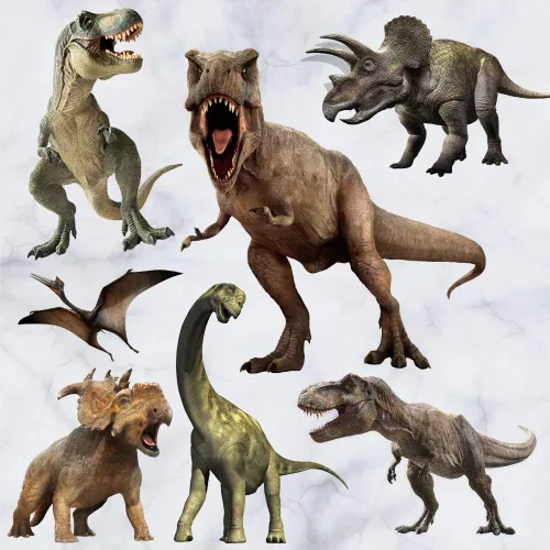 Vista 11 de Kiddale Calcomanías de pared de dinosaurio, calcomanías de arte extraíbles para decoración del hogar 11pcsa