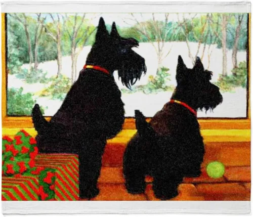 Vista 19 de CafePress