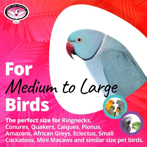 Vista 3 de Super Bird Creations SB1192 Crocs - Juguete para pájaros, ideal para loros, cuellos de anillo, cuáqueros, cacatúas pequeñas, perfecto para masticar