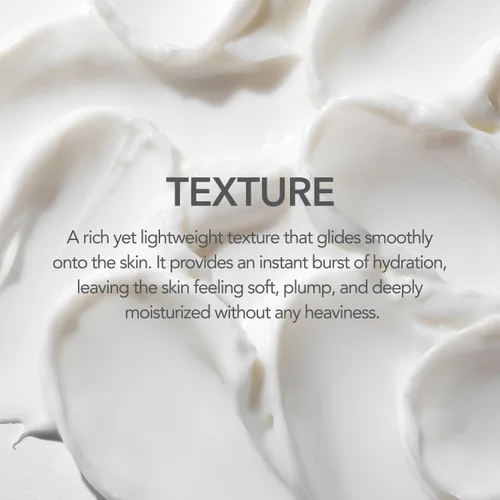 Vista 7 de 107 EVERYDAY PLUMP Hydro Cream, hidratante facial ligero con probióticos, escualano y ginseng fermentado, hidrata, nutre y mejora la luminosidad