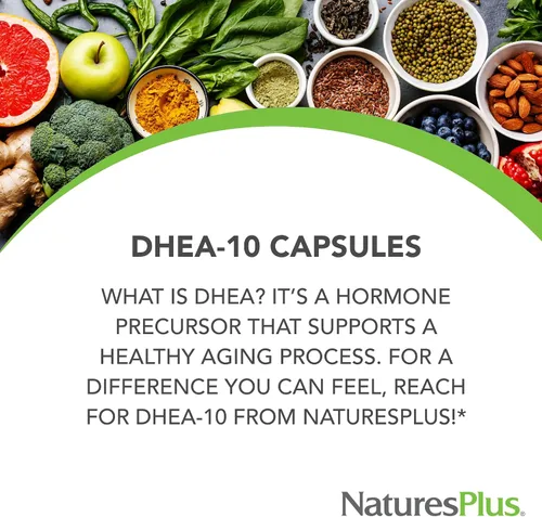 Vista 4 de NaturesPlus DHEA-10 - Apoya la energía, la salud inmunológica y el envejecimiento saludable - 90 cápsulas - Vegano, sin gluten - 90 porciones
