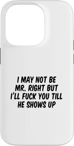 Vista 17 de I May Not Be Mr. Right But I’ll Fuck You Till He Shows Up Case for iPhone 17