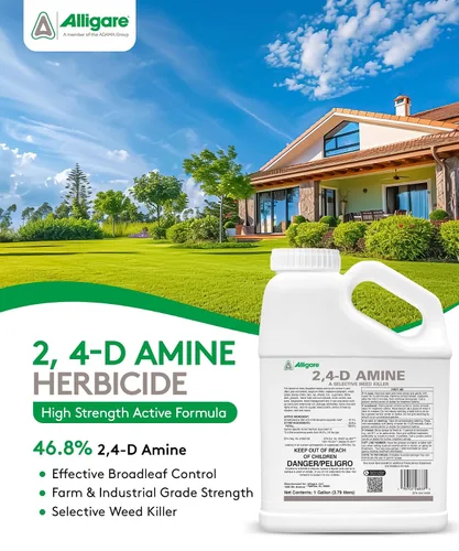 Vista 2 de ALLIGARE Concentrado de amina 2,4-D herbicida posemergente para controlar la trenza de cerdo, cardo y más, 46.8% de ingrediente activo, para césped