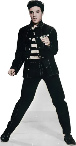 Vista 22 de Imágenes en cartón de Elvis Presley , talla única , Elvis 1