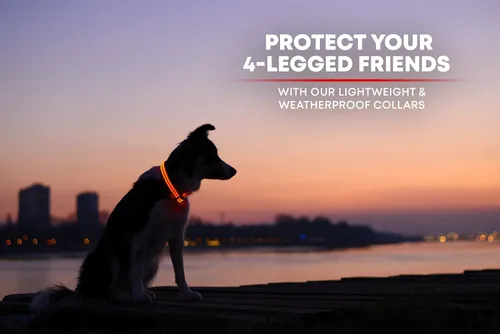 Vista 6 de Collar para perros LED Illumiseen, recargable por USB, Anaranjado encendido