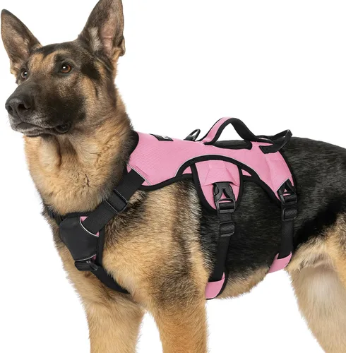 Vista 27 de rabbitgoo - Arnés para perros a prueba de fugas, arnés para mascotas acolchado y suave de cuerpo completo, arnés reflectante ajustable sin tirones