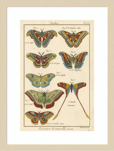 Vista 18 de Amanti Art Lienzo decorativo para pared enmarcado de 24 x 18 pulgadas, diseño de mariposas de naturaleza III de historia, arte de pared de animales