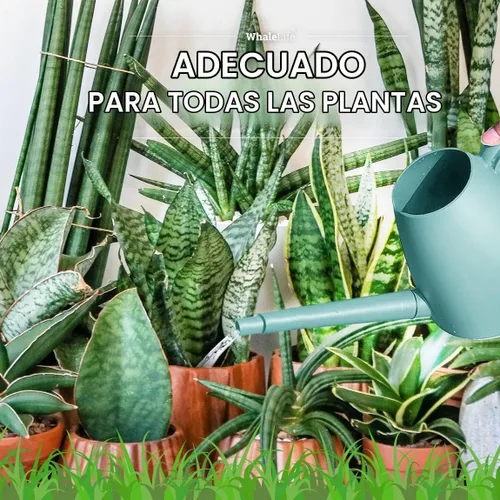 Vista 5 de WhaleLife Regadera interior para plantas de bonsái de casa (2.0L, azul)
