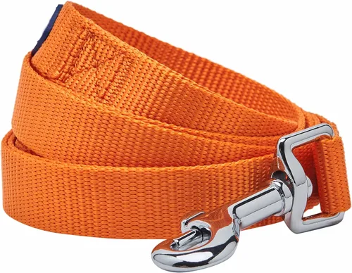 Vista 89 de Blueberry Pet - Correa Essentials clásica para perro con más de 20 colores, duradera, doble asa y de cuerda