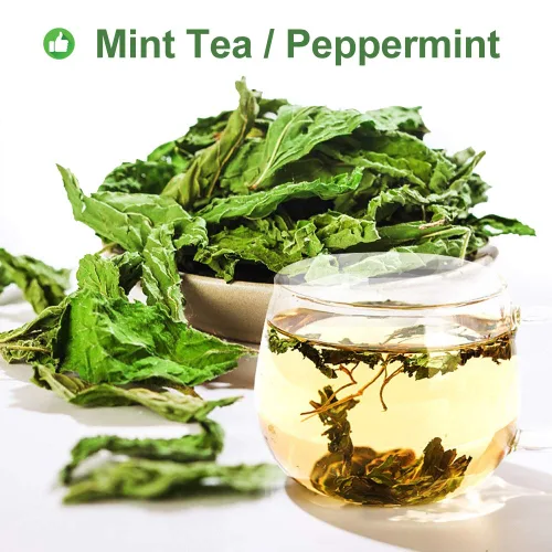 Vista 7 de Plant Gift Té 100% menta, té de menta, hojas de menta, té saludable, bolsas de té de menta orgánica, flor saludable, té de menta 0.7 onzas
