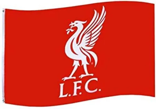 Vista 6 de Bandera F.C. Arsenal WM
