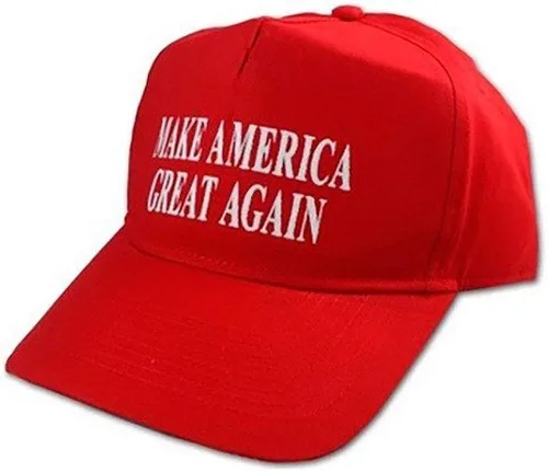 Vista 2 de Donald Trump para adulto peluca y sombrero