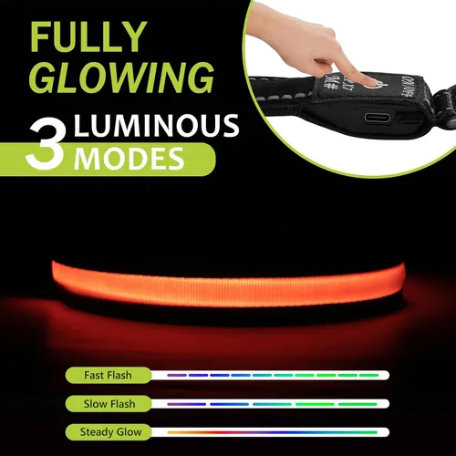 Vista 2 de Collares de perro iluminados recargables, collar de perro que brilla en la oscuridad, impermeable, collares de perro con luces LED intermitentes