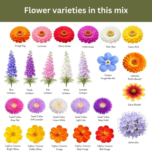 Vista 5 de Cut Flower Garden Seed Mix – Más de 15,000 semillas – Paquete extra grande de 1 onza – Semillas de flores sin OMG – Zinnia, Cosmos, Larkspur