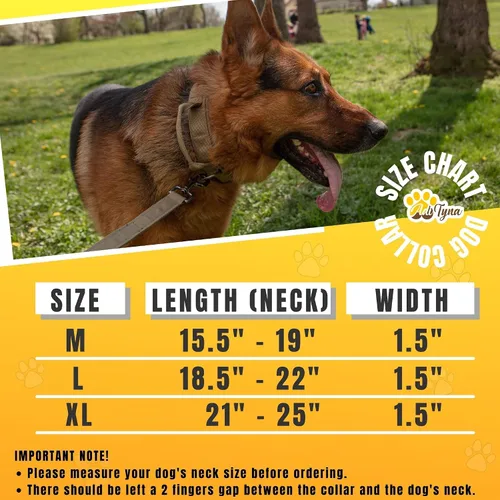 Vista 2 de Collar de perro táctico militar K9 Ajustable con asa Para entrenamiento y servicio, para pastor alemán