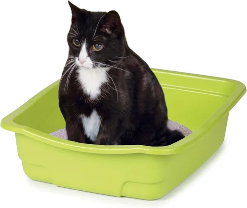 Vista 4 de Sartenes de arena surtidos de colores brillantes para arena para gatos, 6 paquetes