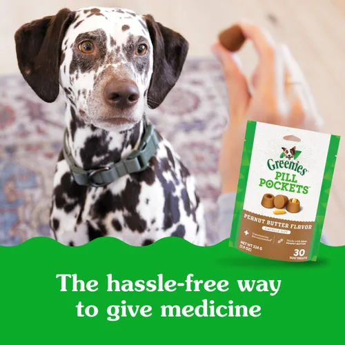 Vista 5 de Greenies Pill Pockets con dulces de mantequilla de maní real para perros