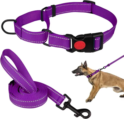 Vista 18 de Set de Collar y Correa Martingale para Perros Collares de Martingale para Perros Collar de Martingale Reflectante para Perros Pequeños, Medianos