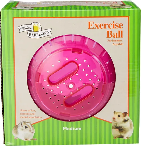 Vista 2 de Walter Harrisons Pelota de ejercicio para hámsters y jerbos de plástico para animales pequeños, tamaño mediano, 7.1 in