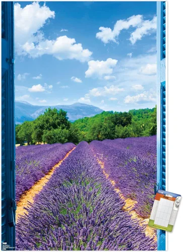 Vista 11 de Trends International Póster de pared de campo de lavanda, 14.725 x 22.375 pulgadas, versión enmarcada de madera de granero Versión enmarcada Barnwood