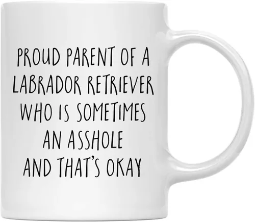 Vista 36 de Andaz Press Funny Dog - Taza de café de 11 onzas, regalo de broma, orgulloso padre de un afenpinscher que es a veces un gilipollas y eso está bien