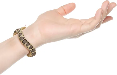 Vista 2 de 2 pulseras de serpiente de Halloween, pulsera de serpiente complicada, juguete de broma de pitón para Halloween, día de los inocentes, fiesta