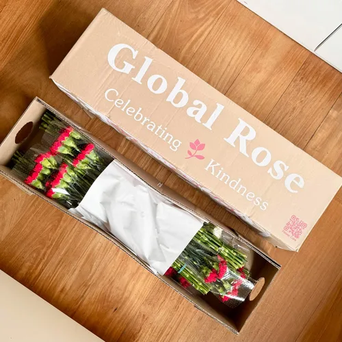 Vista 5 de GlobalRose 100 flores de clavel surtidas – Claveles de flores frescas de origen responsable – Ramo fresco seleccionado a mano para graduación