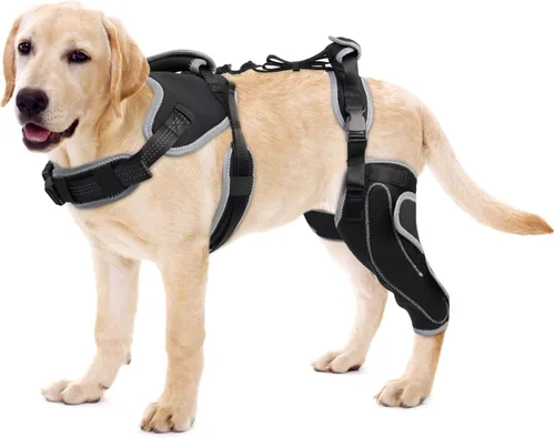 Vista 7 de Rodillera de ACL para perro para pierna desgarrada del ACL, soporte de ACL para piernas traseras de perros, soporte de pierna trasera de perro
