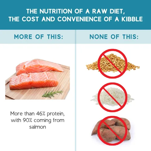 Vista 4 de Ketona Receta de salmón alimento seco para perros adultos, natural, bajo en carbohidratos (solo 5%), alto en proteínas (46%), sin granos