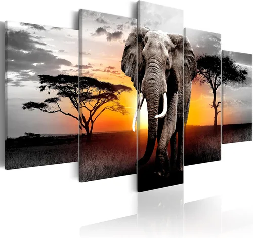 Vista 57 de artgeist Lienzo acústico para pared, diseño de África, 40 x 20 pulgadas, 5 piezas con impresión de sonido de espuma acústica, sala de arte de África