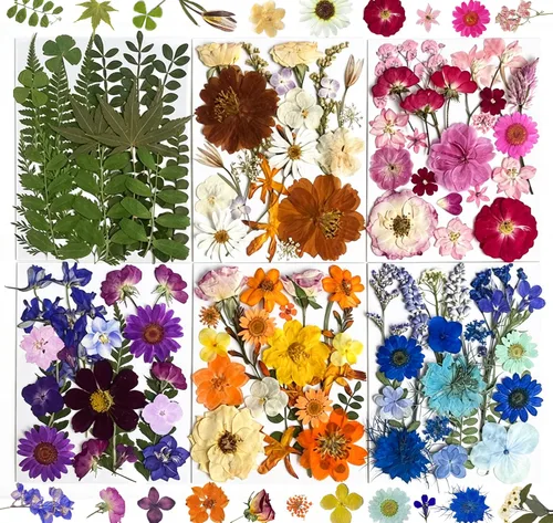 Vista 8 de 84Pcs Real Natural Dried Pressed Flowers & Green Leaves for DIY Crafts, Resin, Scrapbooking, Frame Decor + 4 Packs + Tweezers