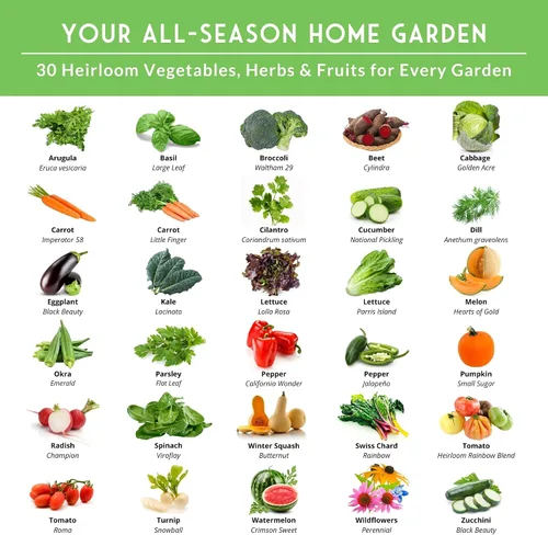 Vista 2 de Semillas de verduras para jardín del hogar, paquete de 30 variedades – Kit de caja de semillas reliquias para plantar verduras, hierbas y frutas