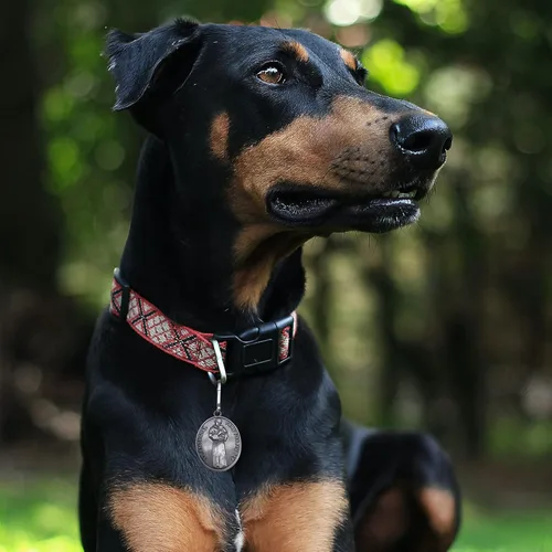 Vista 5 de Etiquetas para mascotas grabadas, 2 paquetes de San Francisco de Asís, gatos, perros, medalla, colgante, collar, protege a mi mascota, aleación, No