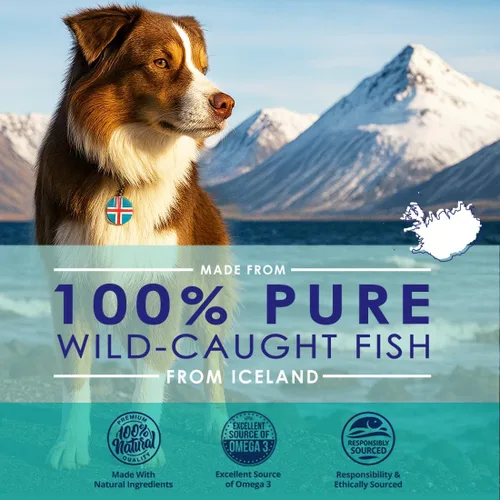 Vista 2 de Aceite de pescado líquido para perros con ácidos grasos Omega 3, 6 y 9, capturado en el medio silvestre de Islandia, suplemento para la piel