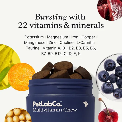 Vista 4 de PetLab Co. Paquete de probióticos multivitamínicos y perros: multivitaminas masticables para perros apoyan la salud y probióticos para perros