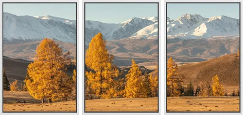 Vista 61 de SIGNWIN Lienzo enmarcado para pared, juego de arte nublado de tormenta, cielo, bosque otoñal, árboles, rústico, naturaleza, fotografía, realismo