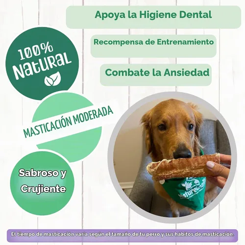 Vista 4 de Nature Gnaws Masticables de tráquea de ternera de 3 pulgadas, 6